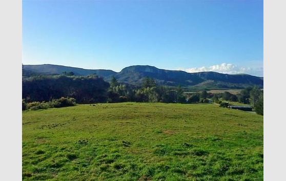 4 HECTARE BLOCK HANDY TO WHARARIKI BEACH & CAPE FAREWELL