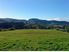 4 HECTARE BLOCK HANDY TO WHARARIKI BEACH & CAPE FAREWELL