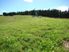 Make hay while the sun shines