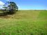 Make hay while the sun shines
