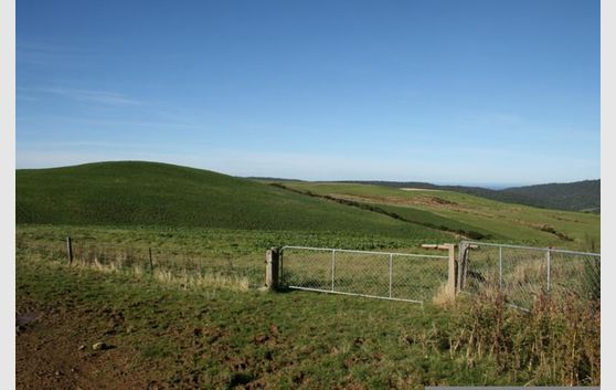 BELLBIRD RANCH - Price Reduction as a dairy runoff block