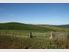 BELLBIRD RANCH - Price Reduction as a dairy runoff block