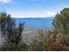 MAGNIFICENT COASTAL LIFESTYLE BLOCK