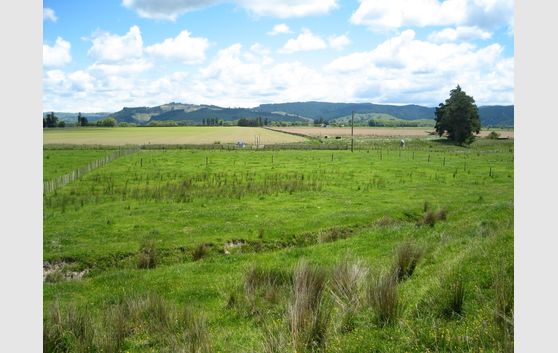 KAIAUA ROAD LIFESTYLE SECTIONS