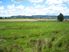 KAIAUA ROAD LIFESTYLE SECTIONS