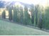 Approximately 11 acres of paradise