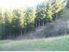 Approximately 11 acres of paradise