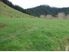 Approximately 11 acres of paradise