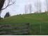 Approximately 11 acres of paradise