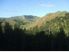 Approximately 11 acres of paradise