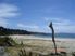 Kuaotunu - Absolute Beachfront