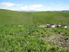 Braemore 65.9ha - Pleasant Point