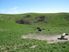 Braemore 65.9ha - Pleasant Point