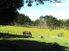 Country Charm