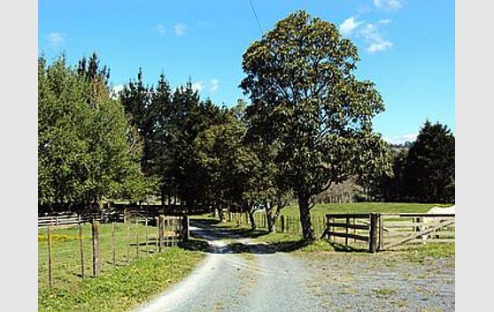 Country Charm