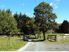 Country Charm