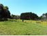 Country Charm