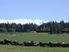MEADOWLINKS FARM ESTATE - Lot 6