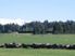 MEADOWLINKS FARM ESTATE - Lot 6