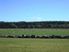 MEADOWLINKS FARM ESTATE - Lot 6