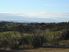 Stunning Site Reduced To Sell