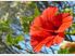Allum Holiday House. Your home away from home - mins from beach