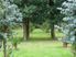 Whispering Winds: Gardens, Parklands and Serenity