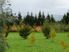 Whispering Winds: Gardens, Parklands and Serenity