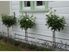 Applecross Cottage