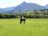 Rural Retreat and Adventure