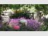 Secluded boutique luxury cottages, landscaped gardens, 3km from Cromwell, vineyards and restaurants