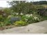 Relaxing suntrap- close to all venues and Rail Trail