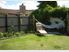Relaxing suntrap- close to all venues and Rail Trail