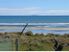 Auckland Calls - Must Be SOLD!!!