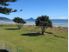 Auckland Calls - Must Be SOLD!!!