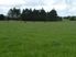 Get a lifestyle block - 17.5 acres
