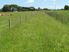 Get a lifestyle block - 17.5 acres