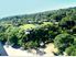 Taveuni Island Resort & Spa in Fiji, a Freehold Going Concern is for sale