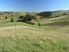 Country Estate, North Canterbury