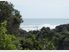 Slice of Kiwiana in the Pohutukawas
