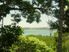 Na Veidrala Island in Fiji is for sale