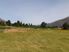 Rural Land