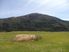 Rural Land