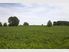 Land and Income $1,550,000 + GST