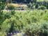 What A Magical Spot ......
