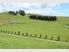 Unsurpassed Country Living