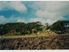 Coastal Section - Great Barrier Island