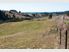 A Dozen Dreamy Acres