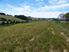 A Dozen Dreamy Acres