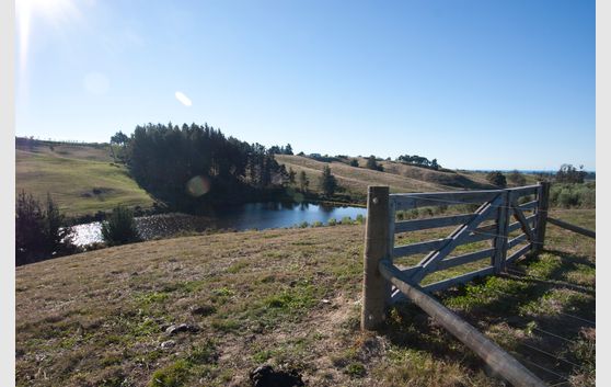 A Dozen Dreamy Acres